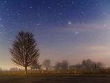 Starry Night_22219-22
